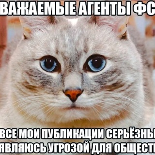 🐣поползновения part 3