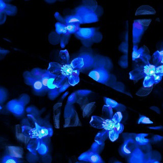 Что-то с чем-то 🤪💙