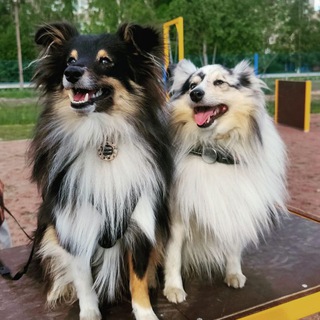 ЮМОР с КАЙФОМ😜