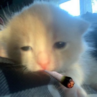 у меня последняя.