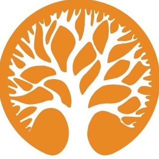 Мастерская йоги 🧘‍♂️