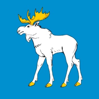 Новости Йошкар-Олы