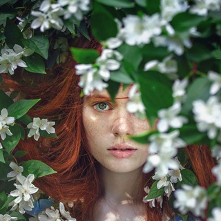 СИЯНИЕ КРАСОТЫ