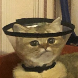 мемасы от ивасы и святичека и иногда от алексансы и вновь от демасы