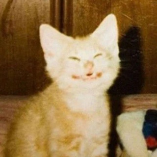 пропагандист Король Пушочек