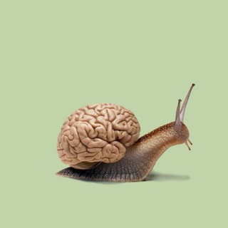 ФИТНЕС СО ВСЕХ СТОРОН