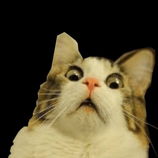 Улëтные_Telegram_Стикеры