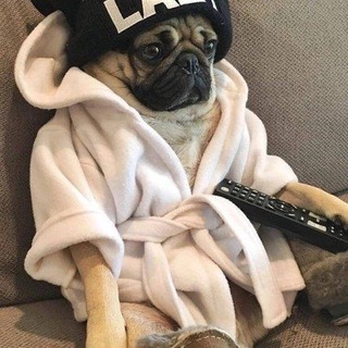 Юмор ТГ лайф