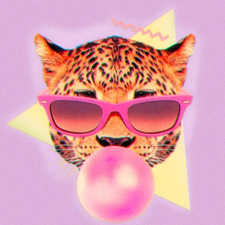 Zabava из глянца