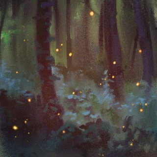 Лунный бобёр ☄️