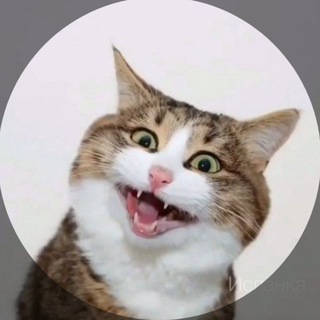 Ваще четко 👍