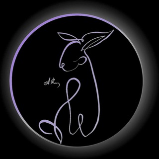 Заметки сумасшедшей