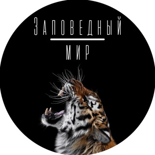 Заповедный мир