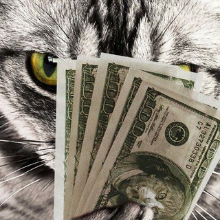 🤑 Зарабатываем вместе 🤑