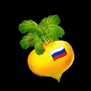 Подставный 💤