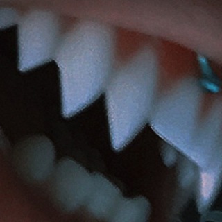 завтра будет снег