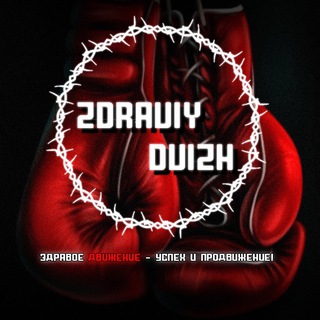 🕸Zdraviy Dvizh🕸️