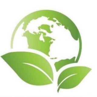 МБУ «Зелёный Город»