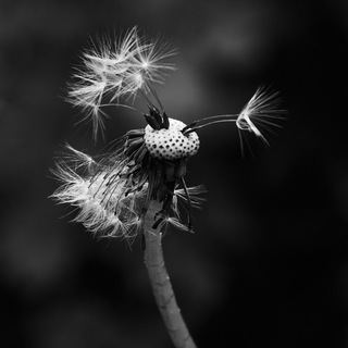 Рисую светом 📸 Фотографии