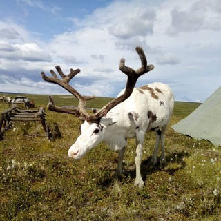 Центр компетенций в АПК Ямал