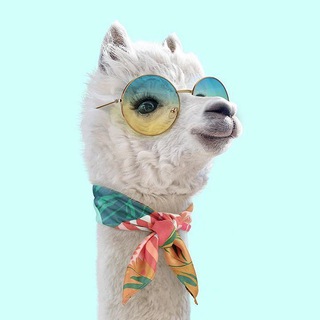 Женский стиль | Одежда