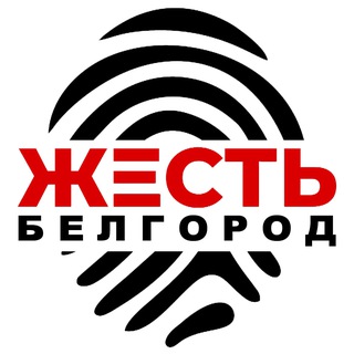 Жесть Белгород