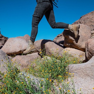 Главная новость дня