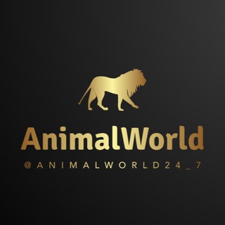 Животный Мир