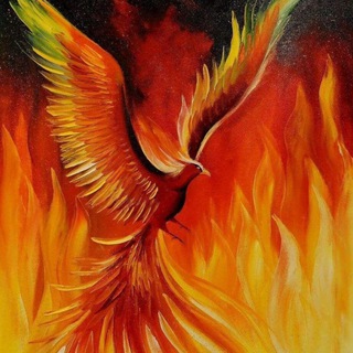 ♻️ Клуб «Феникс».