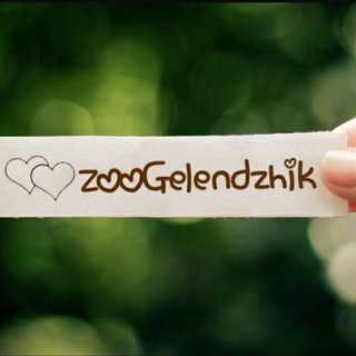 • ЗООГЕЛЕНДЖИК • Приют • Геленджик • Волонтеры