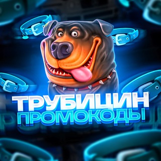 трубицин с низов