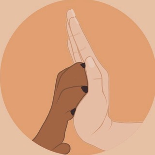 Звериный патруль