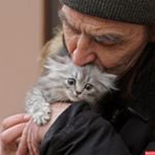 Zooprotector - Защита животных