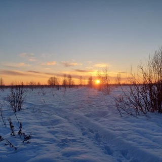 Deer hunters & trappers