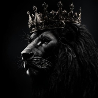 Говорим о животных