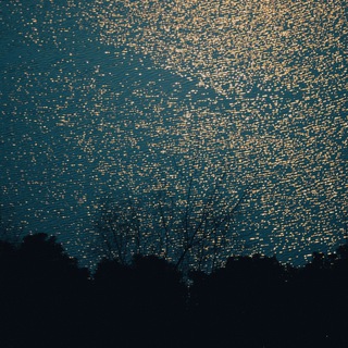 Искрящийся мир вокруг