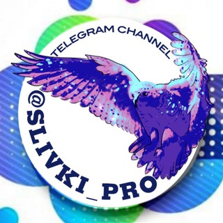 SLIVki_PRO | Курсы | Гайды | Марафоны