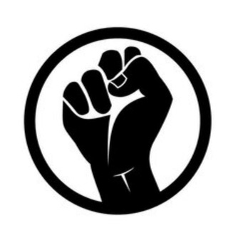 Панч и Кик | ММА 👊 / Спорт️️️