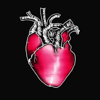 Анатомический блог