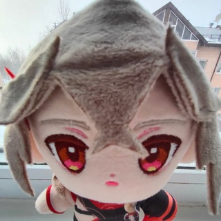 나는 샤와마를 원한다