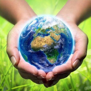 Мир 🌍на ладони👋