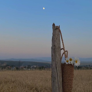 Ночь в Тихаме