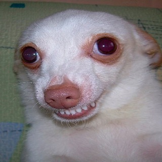 Ытодкена тпЁ