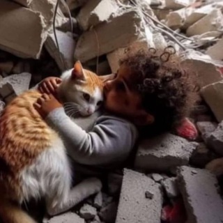 ᴀ ʜ ᴇ ᴅ ɪ ʏ ʏ ᴀ ᴛ