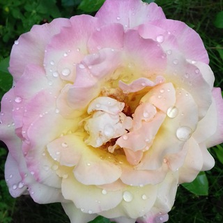 Фотограф Александра Калтыкова