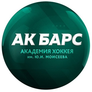 «Академия хоккея Ак Барс»