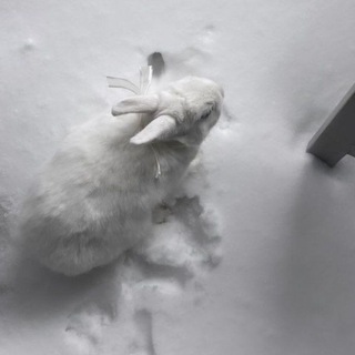 ໒ . . ꒰ aksi||парные авы&сmаmусы ꒱ ┄ 𓆩 💌 𓆪