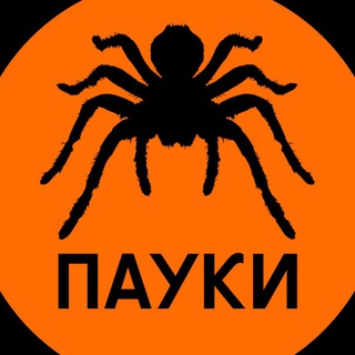 Пауки