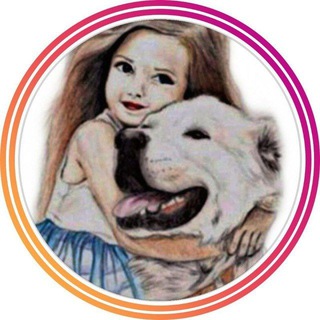 Приют ШАНС на Кубани