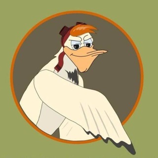 Albatros62 производитель кожи